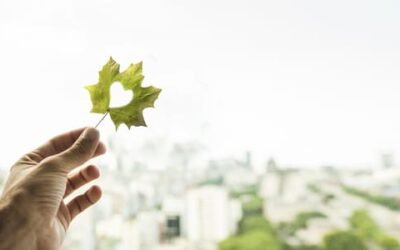 How Female Leadership is Driving Environmental Responsibility in High-Tech Firms