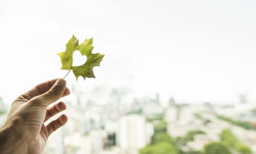 How Female Leadership is Driving Environmental Responsibility in High-Tech Firms